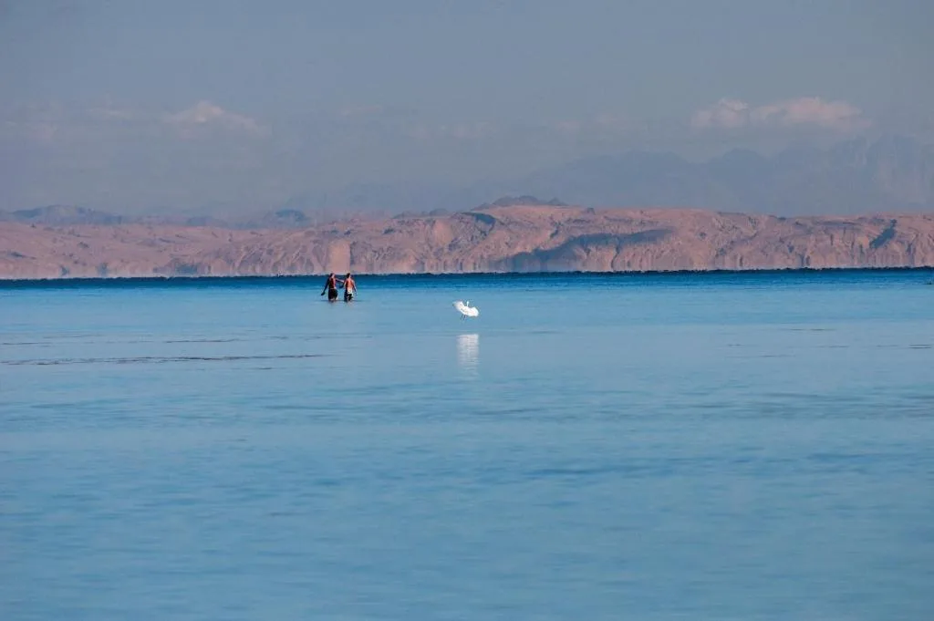 Amwaj Oyoun Resort: another view