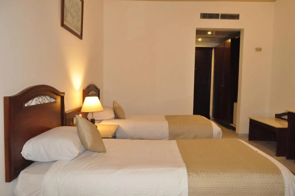 Dexon Roma Hotel: another view