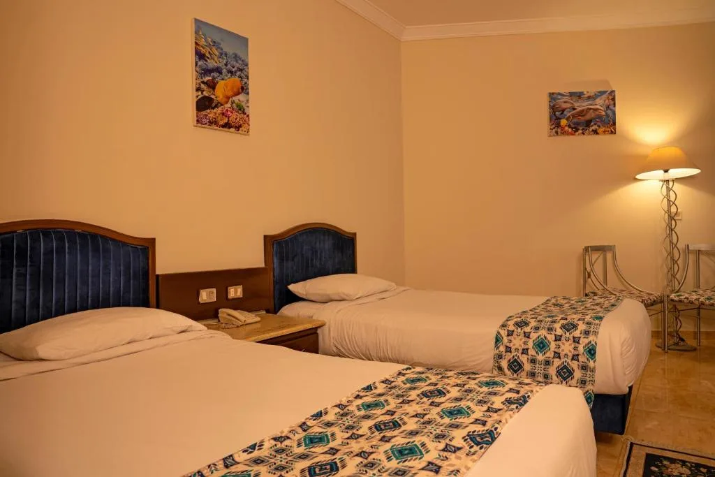 Dexon Roma All Inclusive Hotel: another view