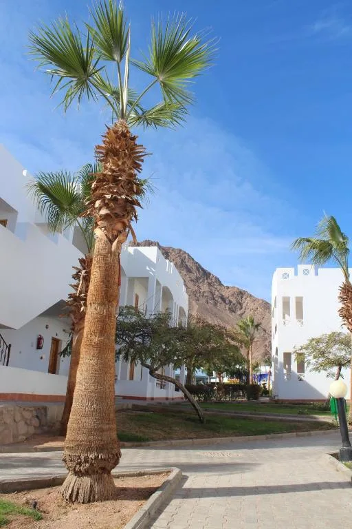 Happy Life Village Dahab: another view