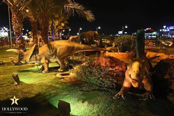 Hollywood Aqua Park Sharm El-Sheikh: another view