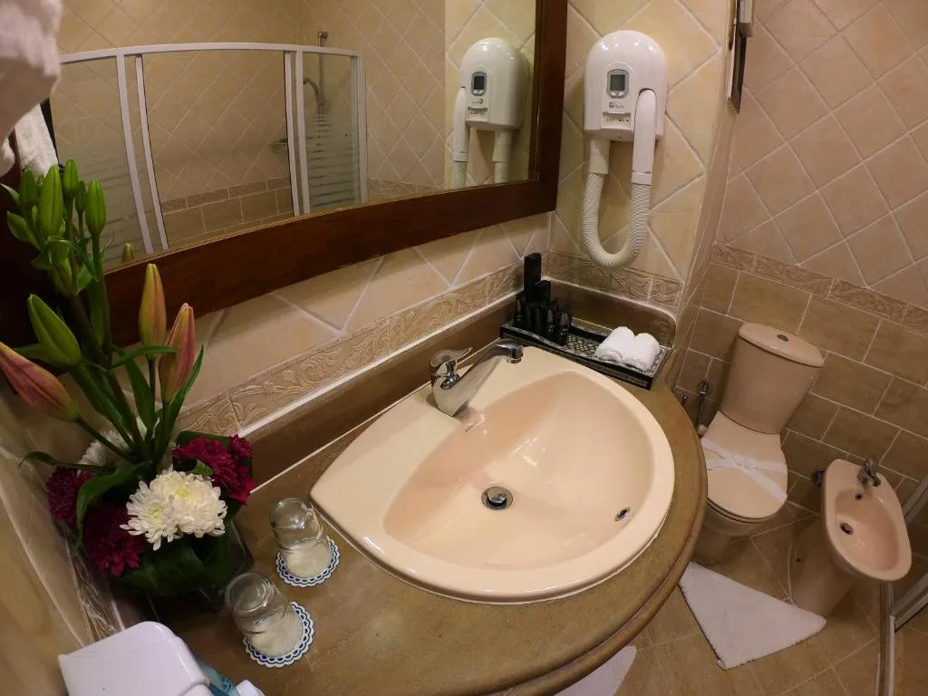 Oriental Rivoli Hotel & Spa: another view