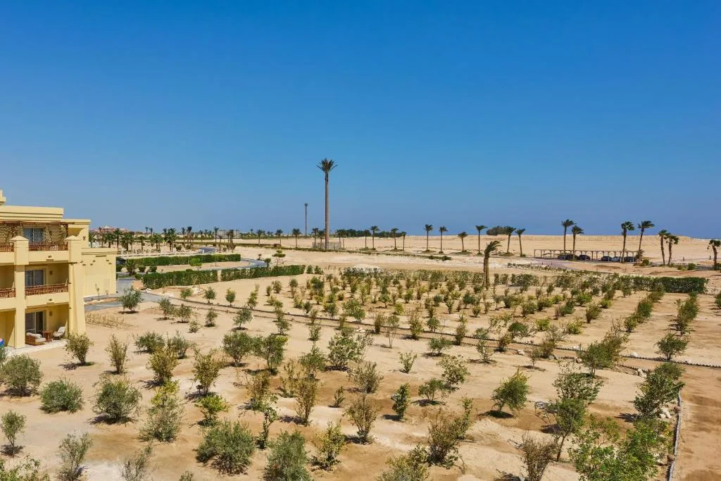 Sheraton Soma Bay Resort: another view