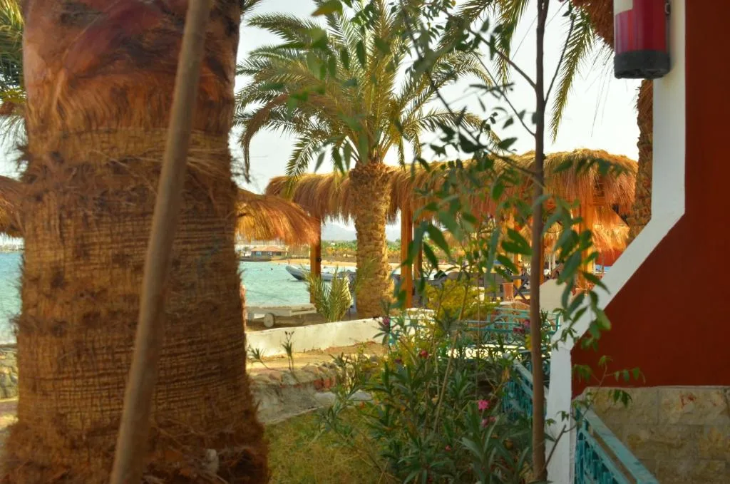 Sun Beach Hotel ABO SOMA: another view
