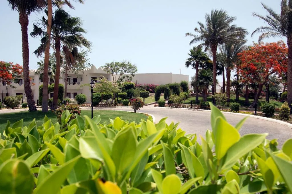Swiss Inn Resort Dahab: another view