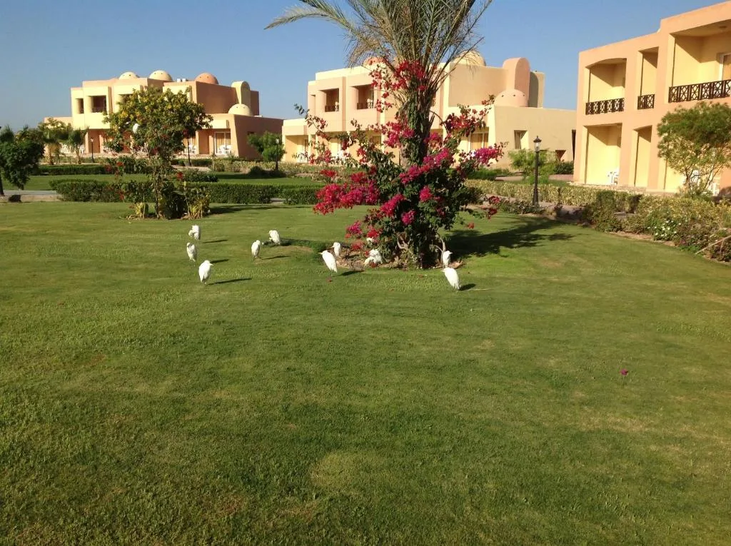 Wadi Lahmy Azur Resort: another view